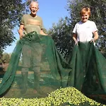 Melisa 5 By Interhome Будинок відпочинку Пореч