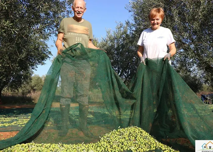 Melisa 5 By Interhome Feriehus Poreč